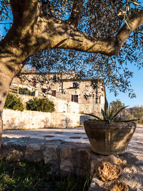 A garden outside Il Becco Felice