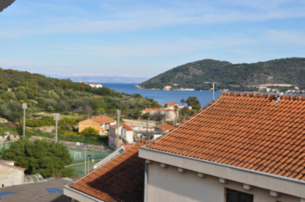 Příroda nedaleko apartmánu
