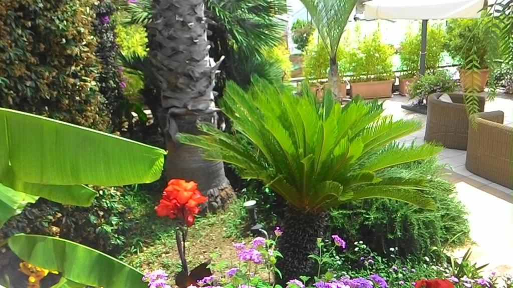 Zahrada ubytování Hotel Casa Gerardo