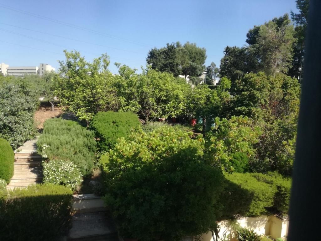 The Orange Groove - 1