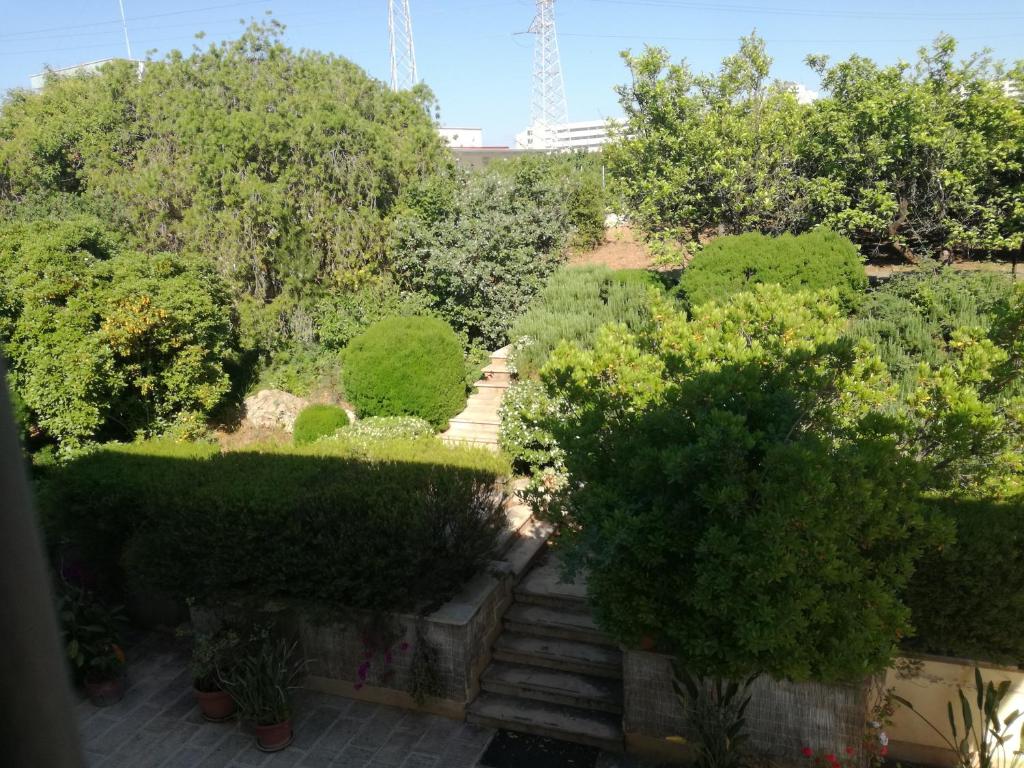 The Orange Groove - 11