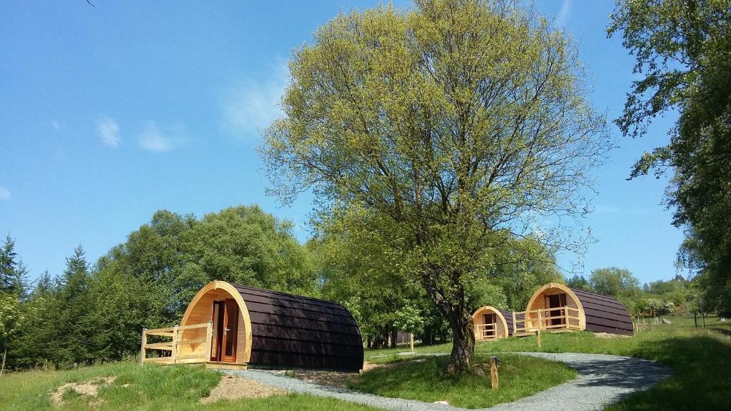 due edifici in legno in un campo con un albero di Glendalough Glamping - Adults Only a Laragh