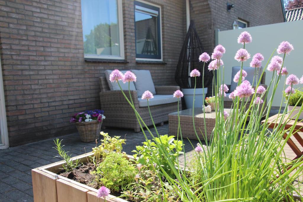 Zahrada ubytování B & B Janneke Elsloo Friesland