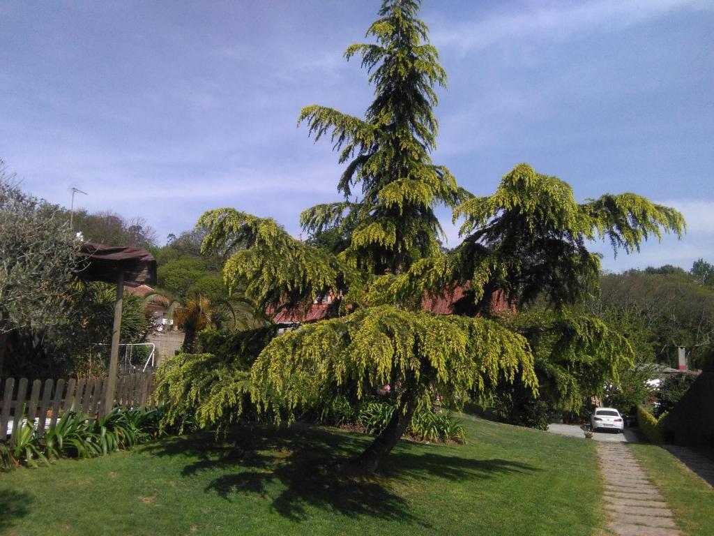 El Atico de Villalmar - 12