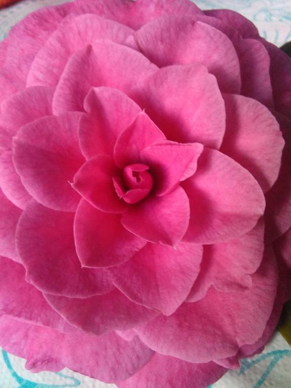 El Atico de Villalmar - 11