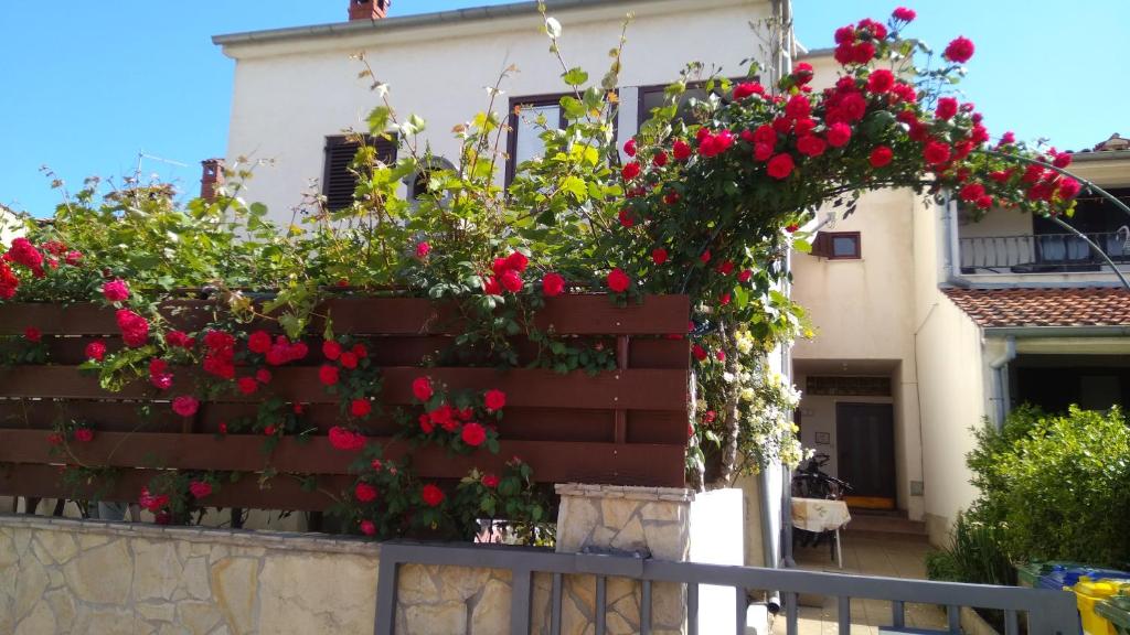 una casa con fiori rossi su una recinzione di Apartments Alex a Rovigno (Rovinj)