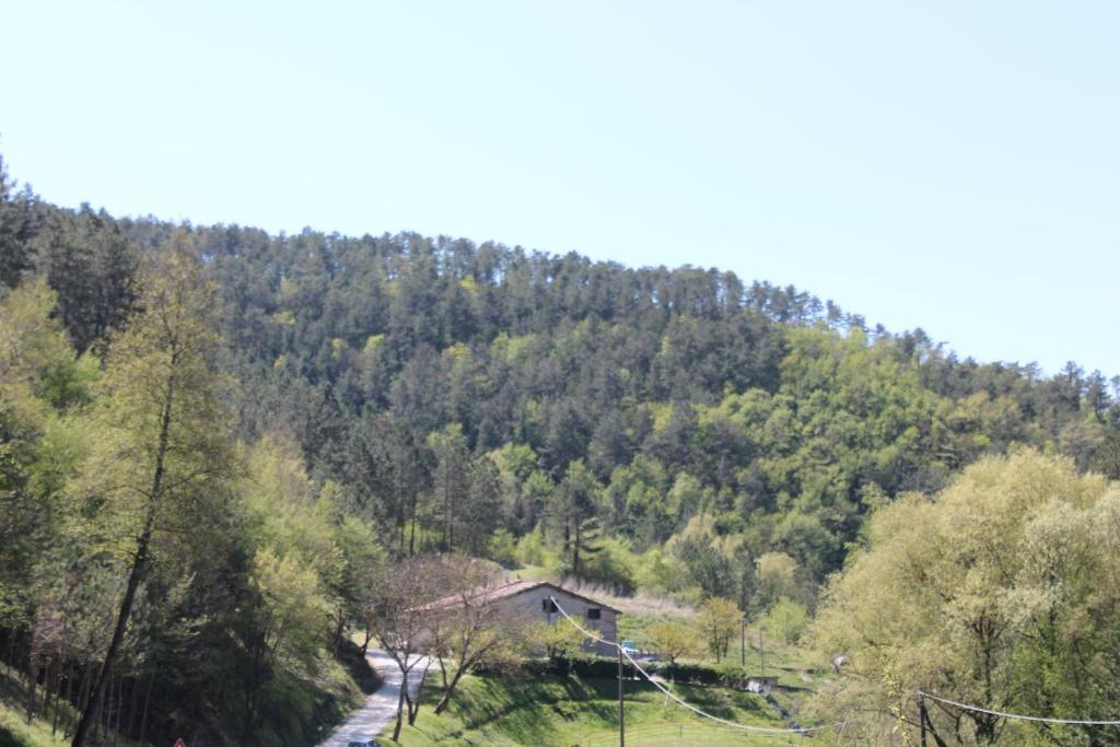 Příroda nedaleko bed and breakfast