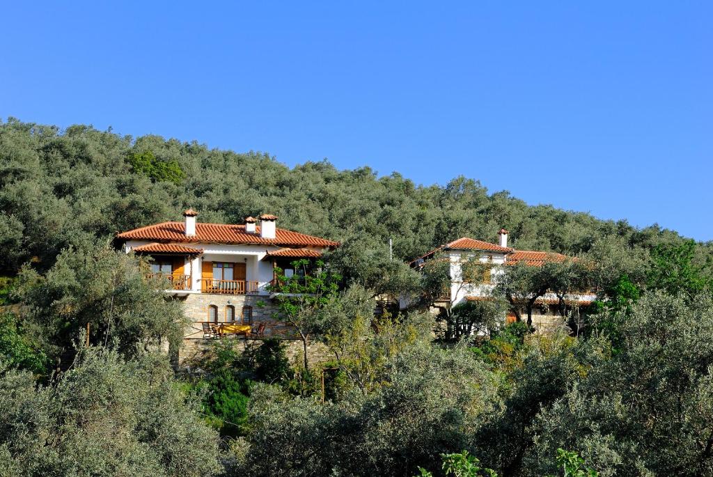 une maison au sommet d'une colline avec des arbres dans l'établissement Guesthouse Apanemia, à Áfissos