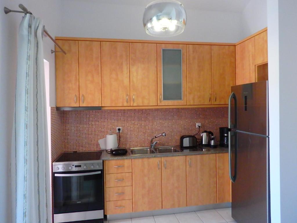 Kuchyň nebo kuchyňský kout v ubytování Ionian Apartment, Sami