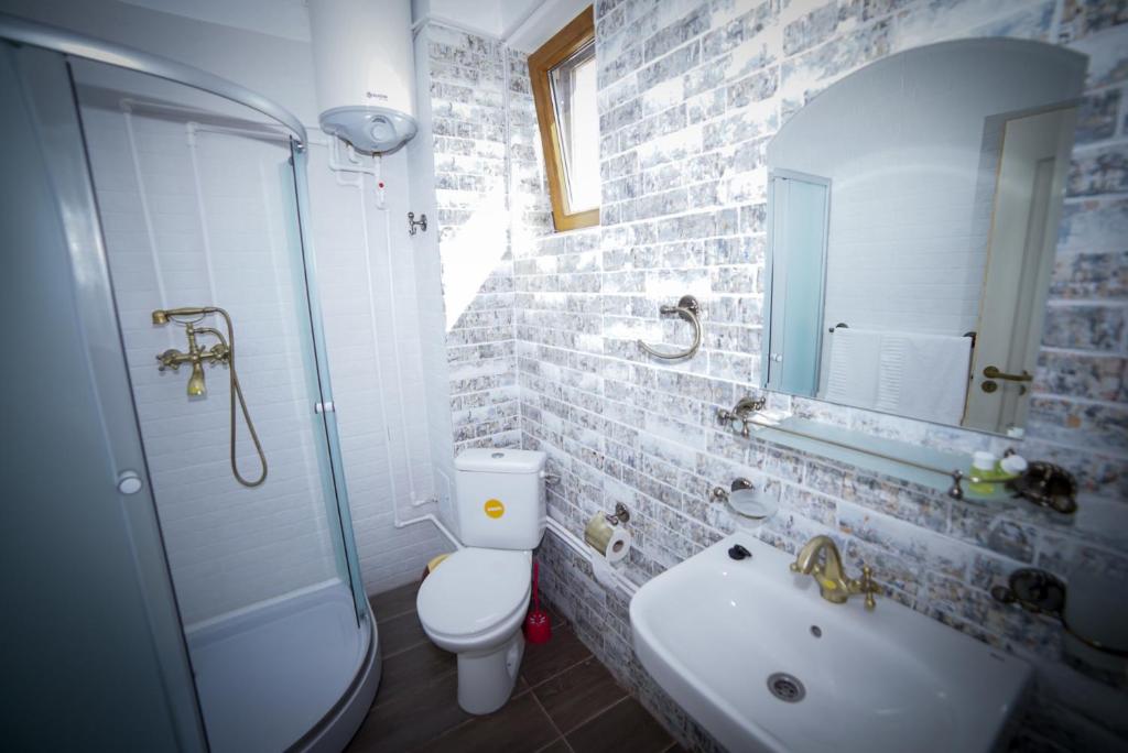 Casa Baran Vama Veche