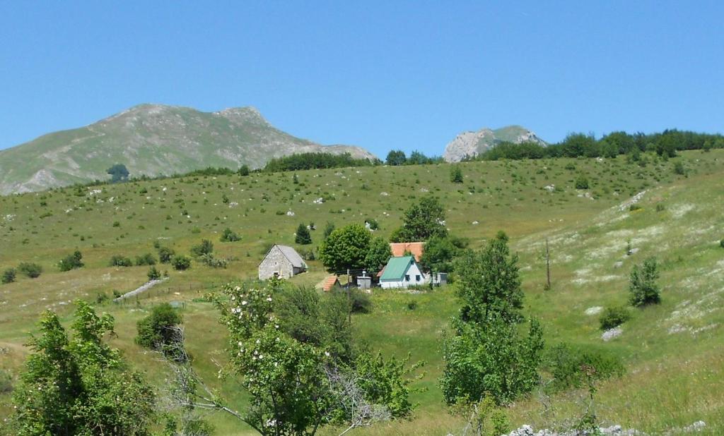 a small house on a hill in a field at Suri in Pluzine