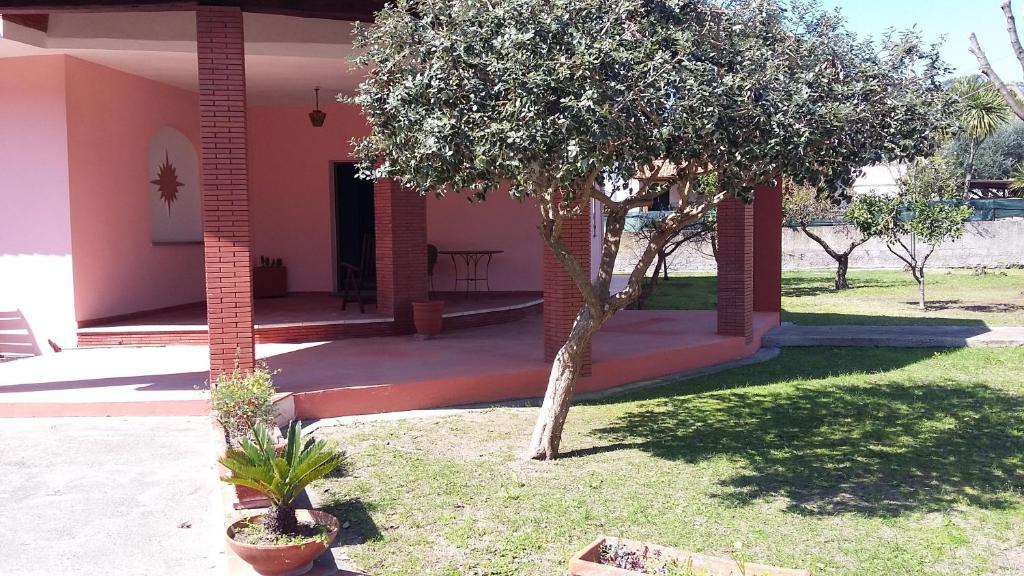 une maison avec un arbre dans la cour avant dans l'établissement Circeo Home La Mola, à San Felice Circeo