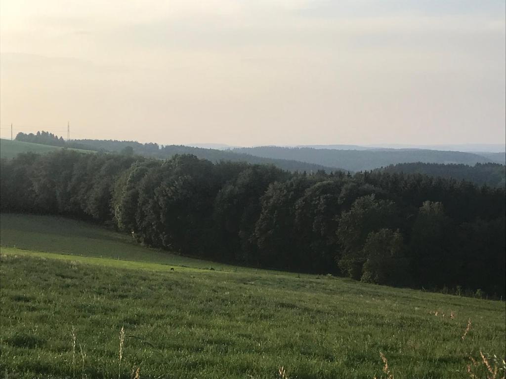 Příroda nedaleko prázdninového domu