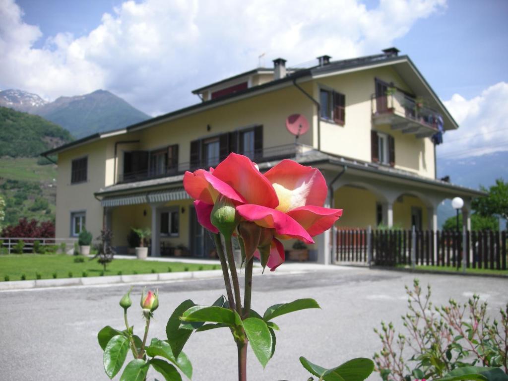 uma flor vermelha em frente a um edifício em B&B Il Crocevia em Teglio