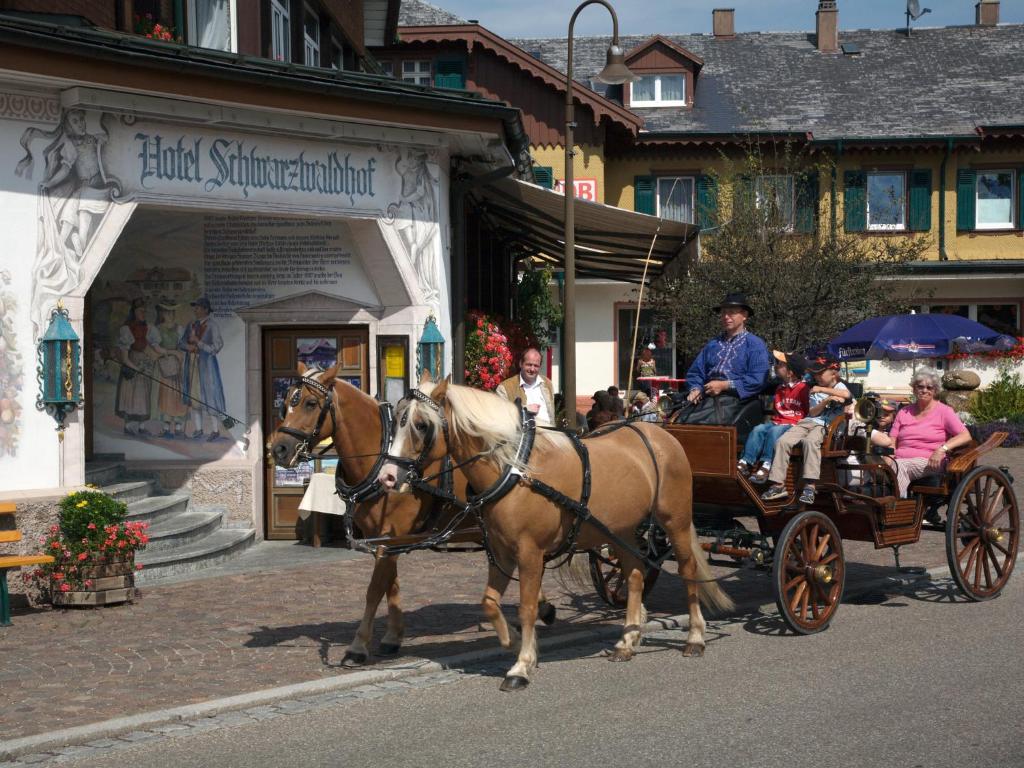 Hosté ubytování Hotel Schwarzwaldhof