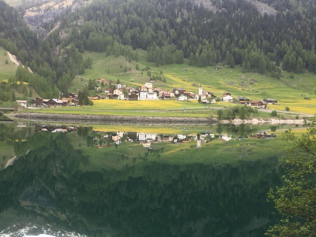 Příroda nedaleko hotelu