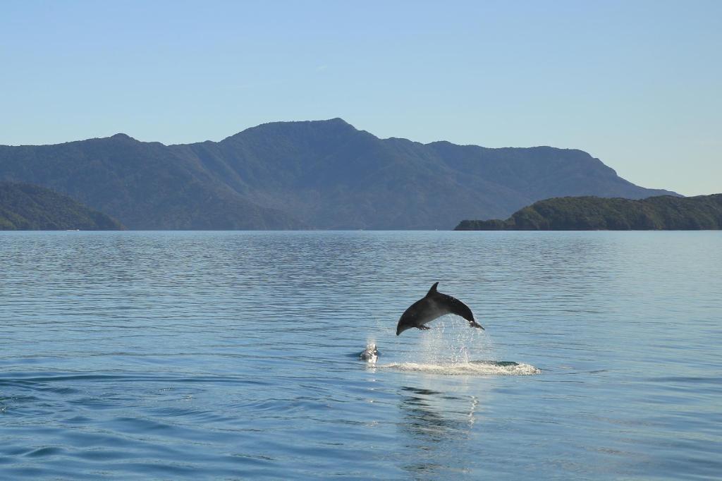 Parklands Marina Holiday Park - Resim 26