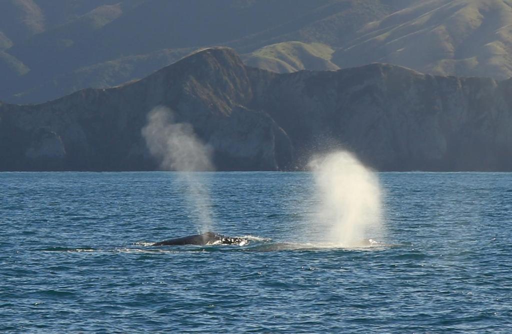 Parklands Marina Holiday Park - Resim 29