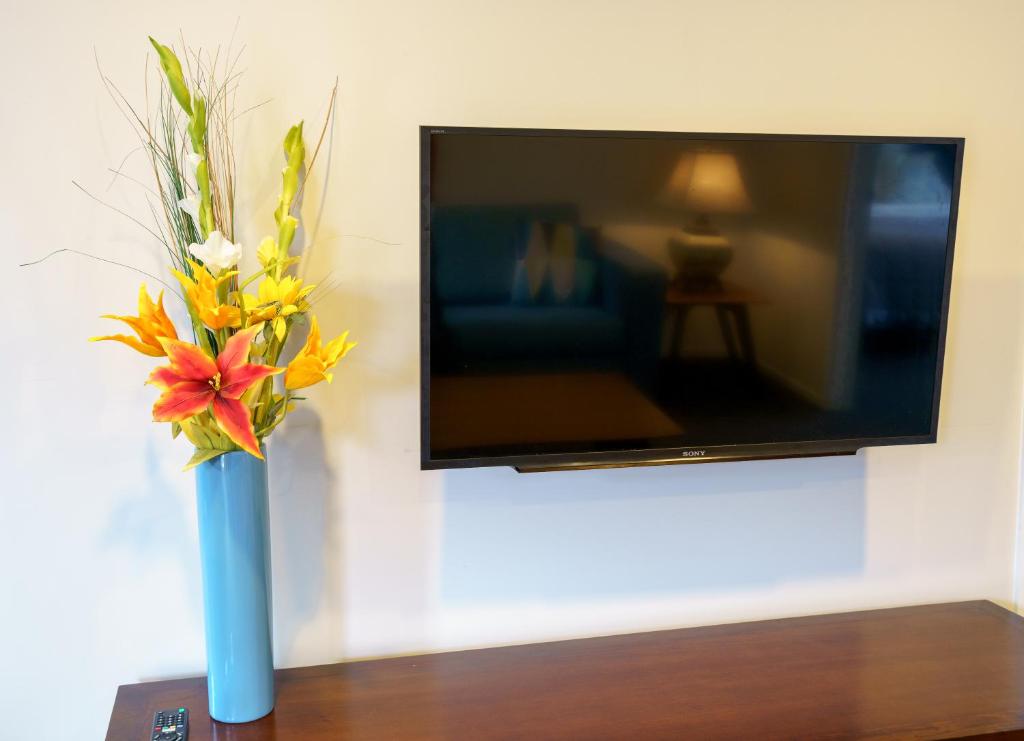 TV a/nebo společenská místnost v ubytování Apartments 118