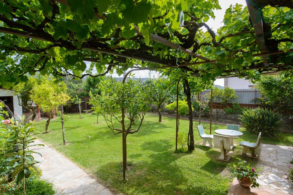 Vonkajšia záhrada v ubytovaní B&B Li Fringi