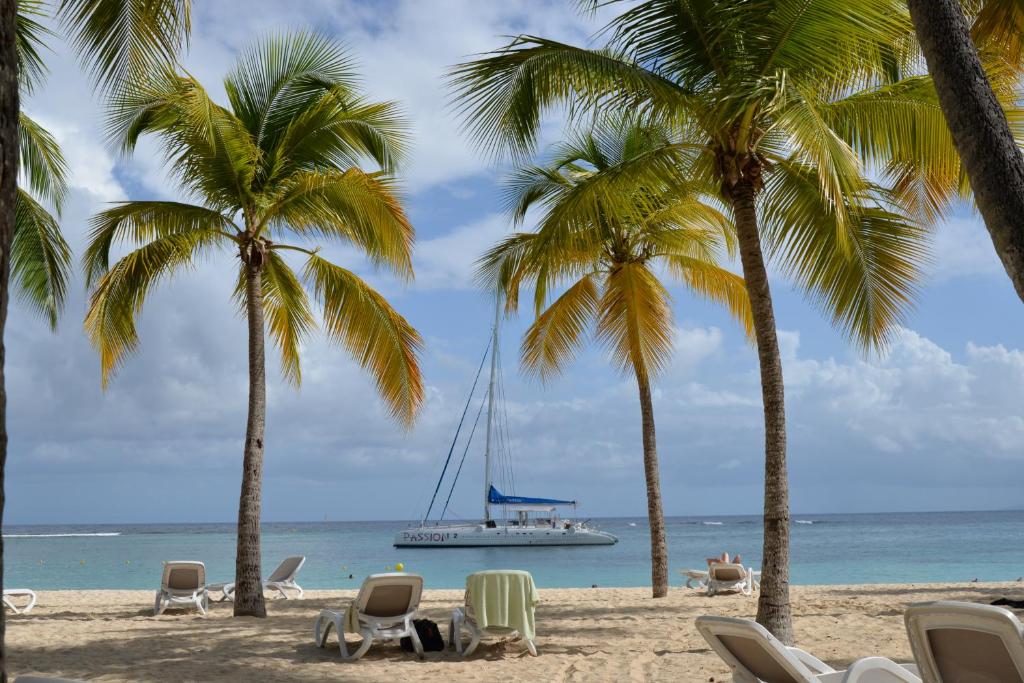 un barco en la playa con palmeras y sillas en Cotton residences, en Sainte-Anne