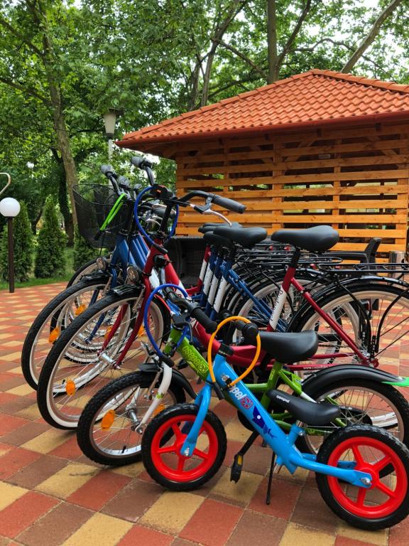 Jízda na kole v ubytování Boró Apartman nebo okolí
