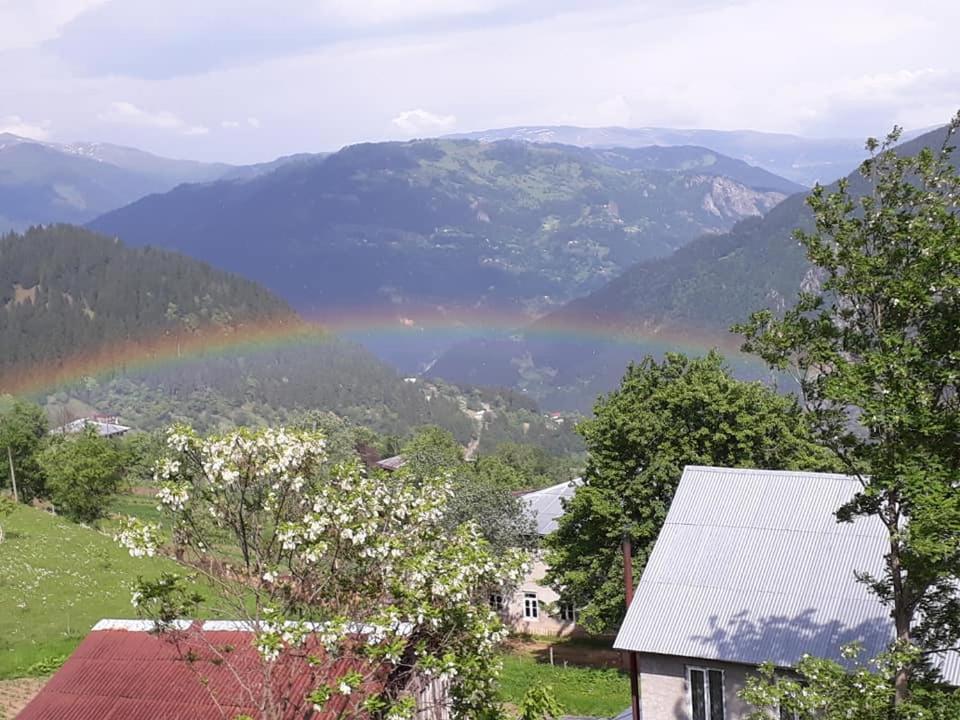 un arc-en-ciel au-dessus d'une vallée avec une maison dans l'établissement Guest House Karati, à Khulo