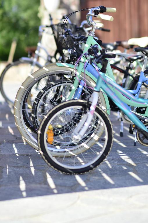 Jazda na bicykli v okolí ubytovania Targowski Dwór Mazury
