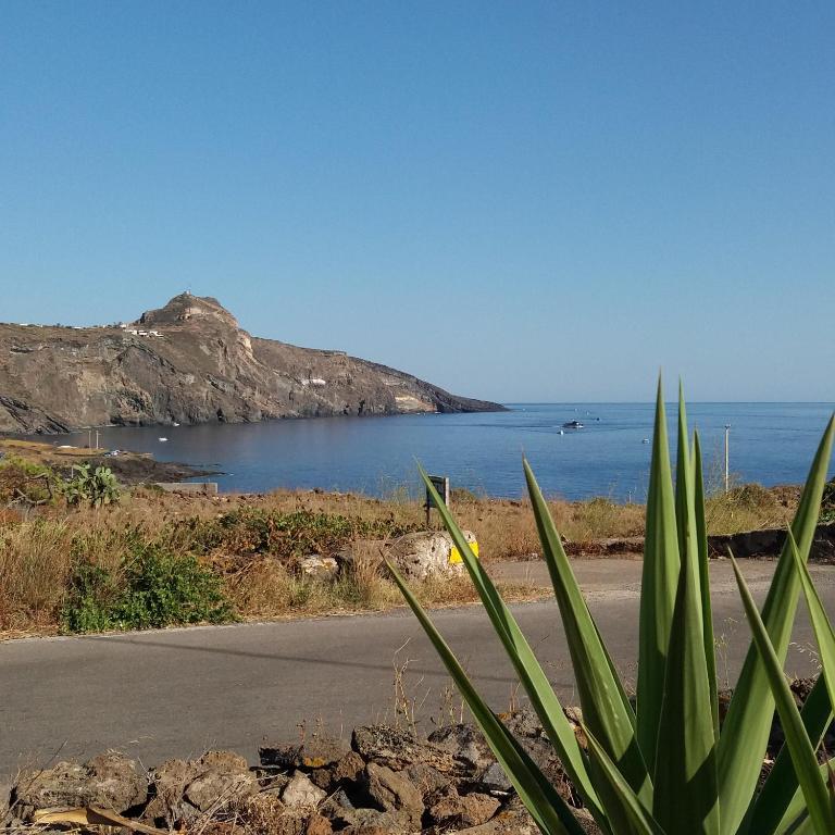 a road next to a body of water with a cactus at Dammuso Surya Il cappero monolocale in Pantelleria