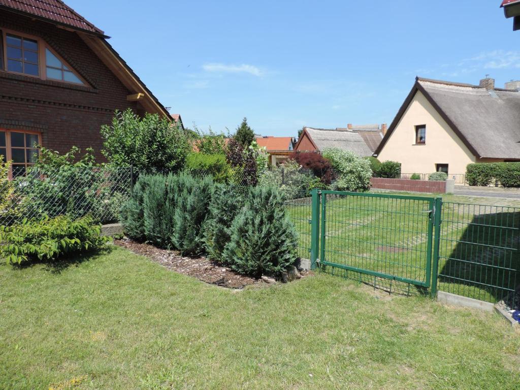 ein Hof mit einem Zaun und ein paar Weihnachtsbäumen in der Unterkunft FeWo Ückeritz /Manja in Ückeritz
