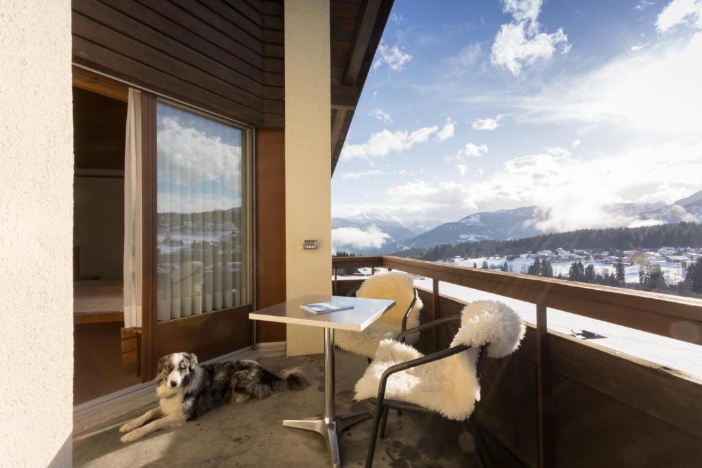 Nespecifikovaný výhled na hory nebo výhled na hory při pohledu z hotelu
