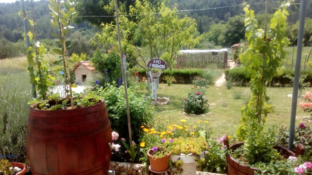 a garden with flowers and plants in a yard at Apartman Rosa in Skradin