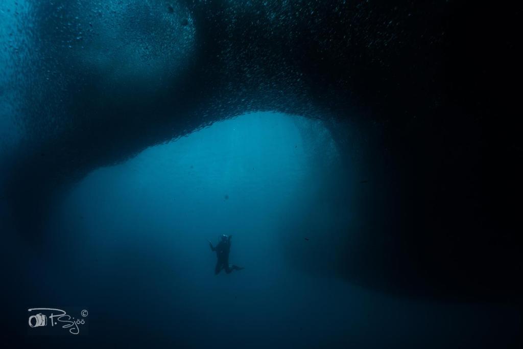Hosté ubytování Divers Lodge Moalboal