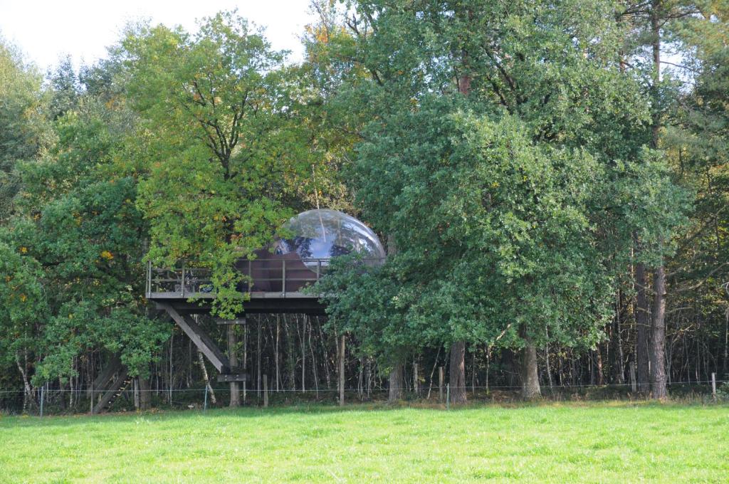 a tree house with a glass dome in the trees at Sphair perchée in Fisenne