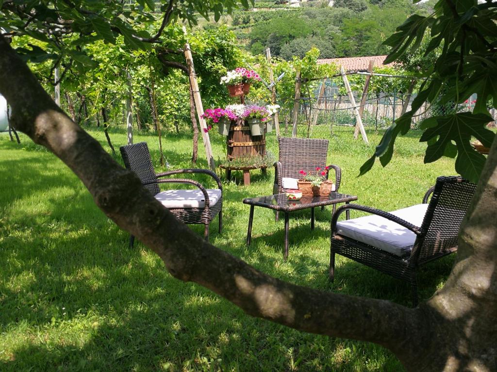 Vonkajšia záhrada v ubytovaní B&B Pontesello