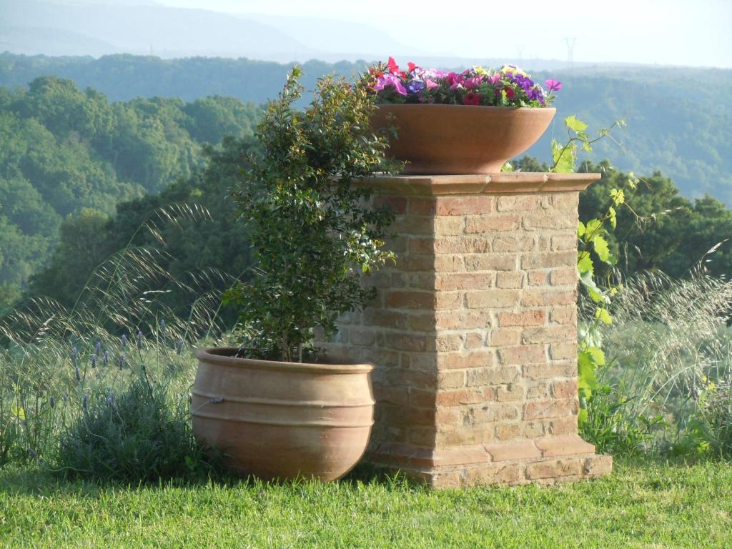 Zahrada ubytování Agriturismo Le Carolee