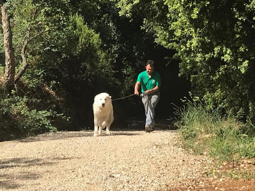 Hosté ubytování Agriturismo Le Carolee