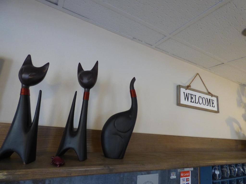 a shelf with three black cat statues on it at Hotel Turandot in Torre del Lago Puccini