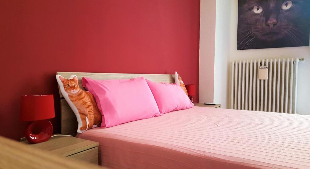 レッチェにあるCat's Roomのオレンジの猫がピンクの枕を持って座っている
