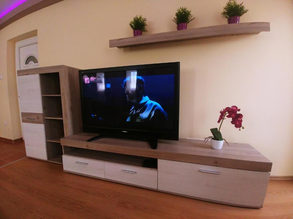 TV a/nebo společenská místnost v ubytování Sarok Apartmanház