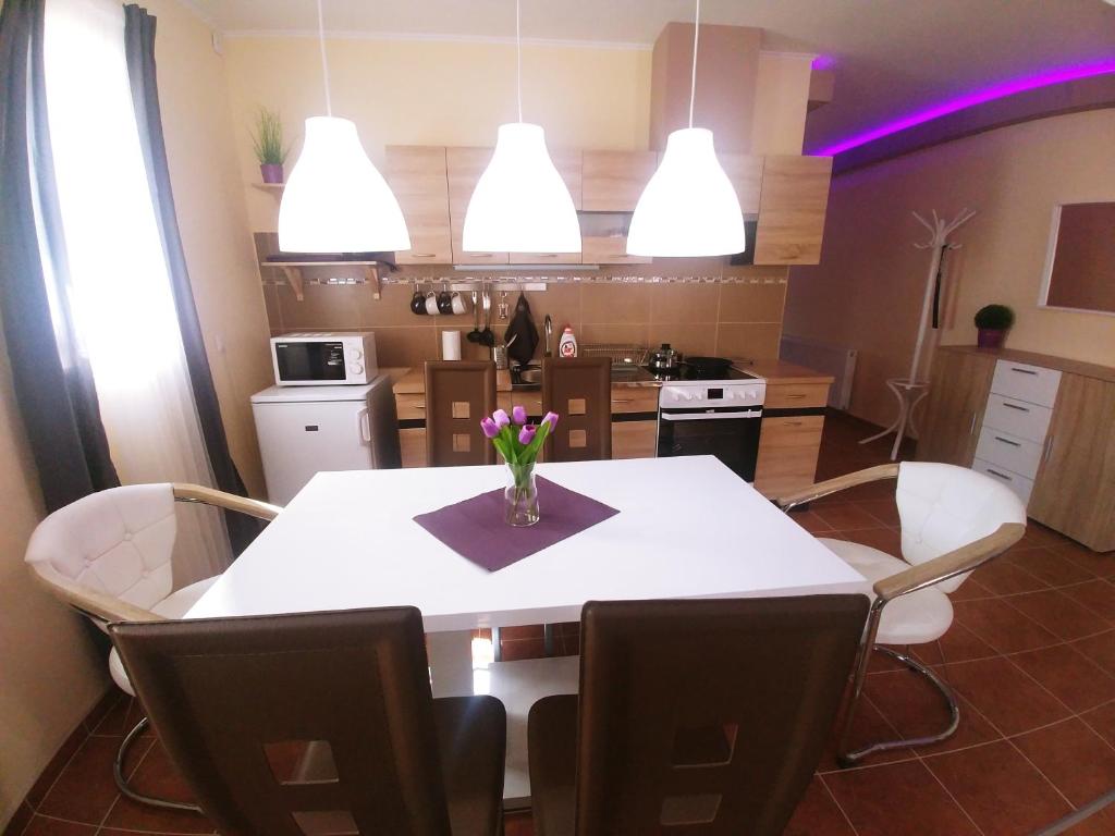 Kuchyň nebo kuchyňský kout v ubytování Sarok Apartmanház