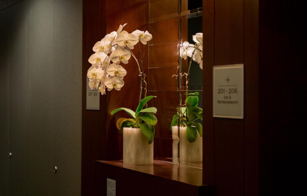 The St. Regis Hotel - Resim 22