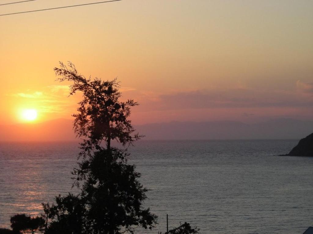 a sunset over the ocean with a tree at Gryspo&#39;s Hotel in Aegiali