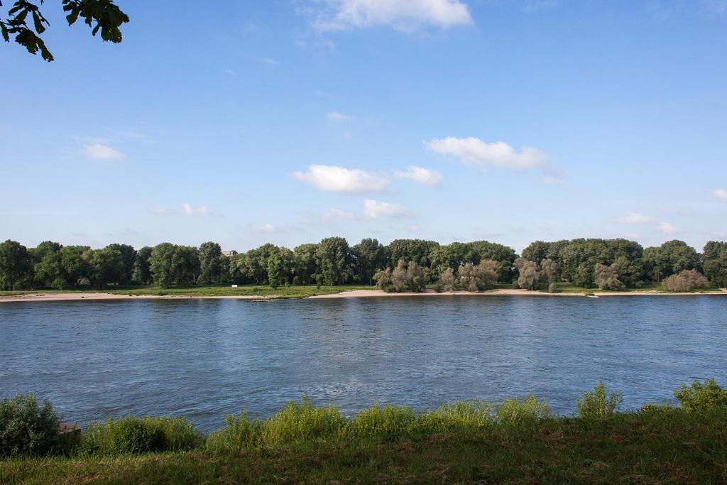 Schnellenburg - Resim 13