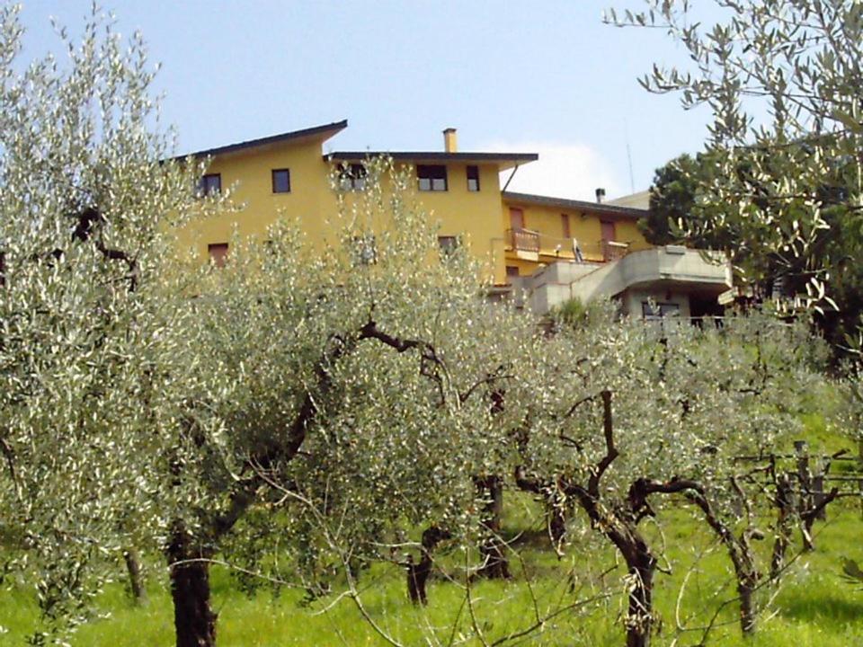 budynek w tle z polem drzew w obiekcie Agriturismo Trivilini w mieście Lanciano