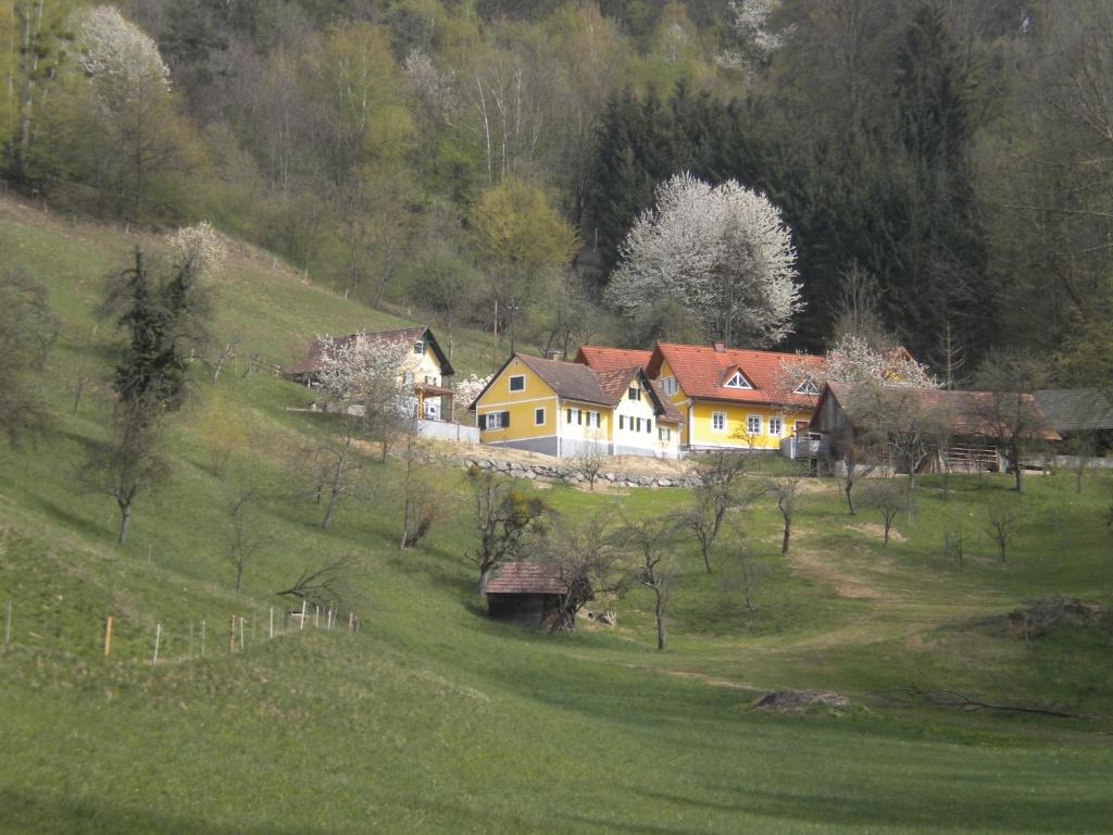 Schwarzautal的住宿－Buchschneider - Ferienhaus Maier - Landhof，绿色田野上山丘上的房屋