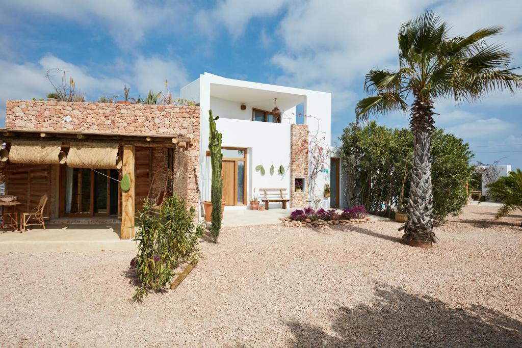 a house with a palm tree and a building at Can Tres Formentera in Playa Migjorn