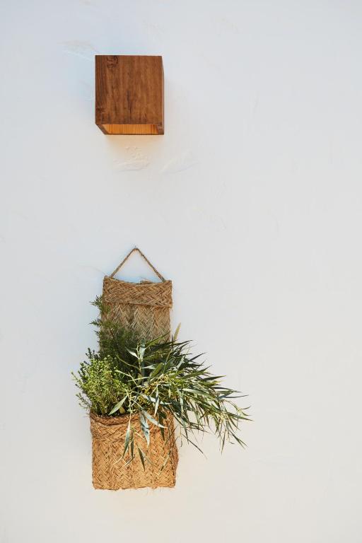 Fotografie z fotogalerie ubytování Can Tres Formentera v destinaci Playa Migjorn