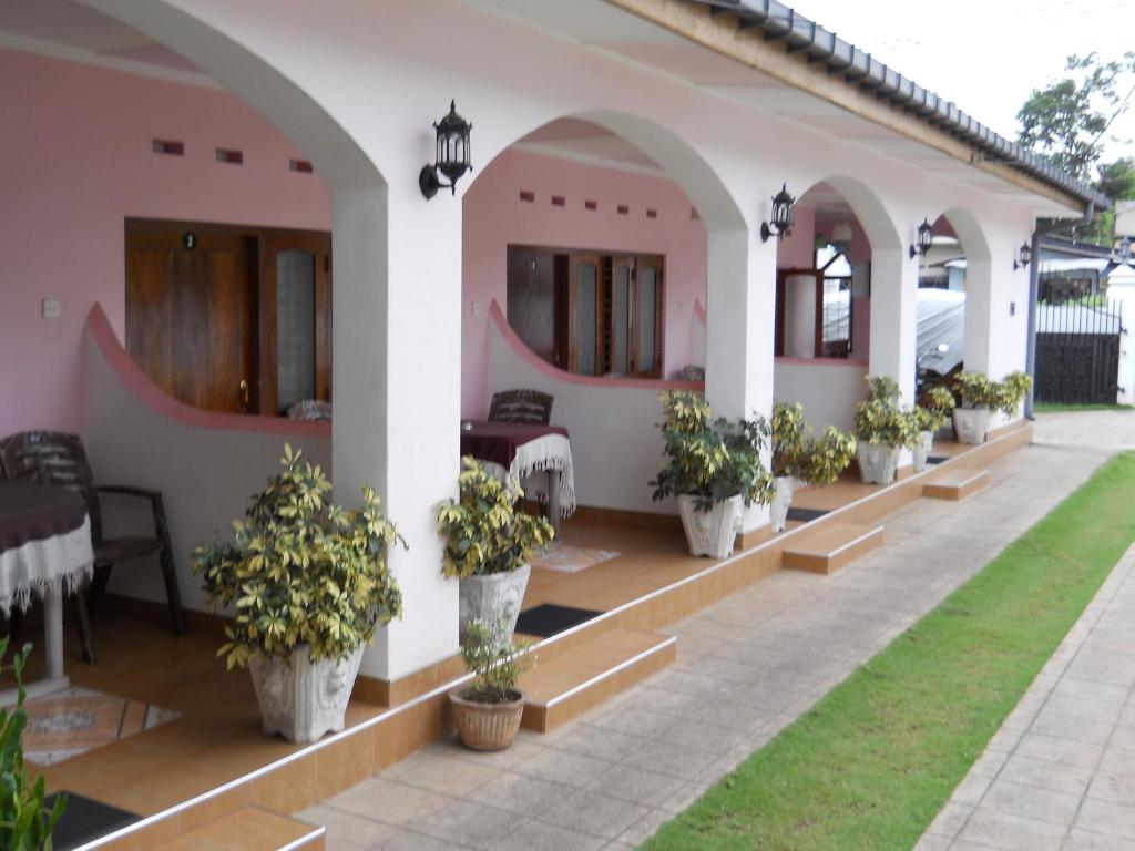 Zahrada ubytování Ocean View tourist guest house at Negombo beach near the airport