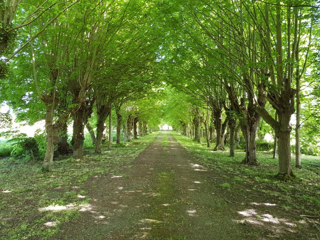 Zahrada ubytování Domaine du Manoir de Vains